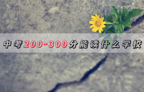 2024年湘西中考200-300分能上什么学校