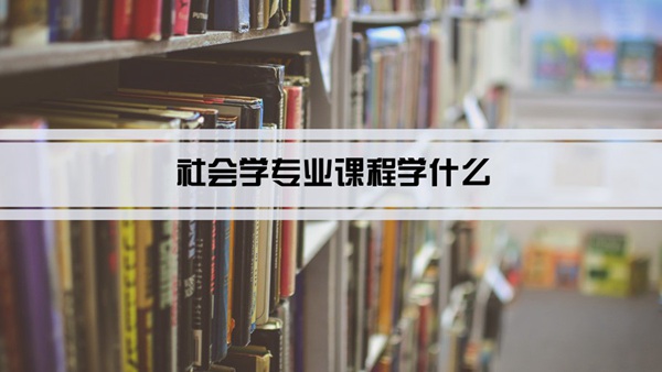 社会学专业课程学什么(毕业后做什么工作)