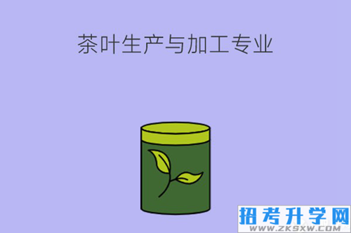 茶叶生产与加工专业课程有哪些？就业前景如何？