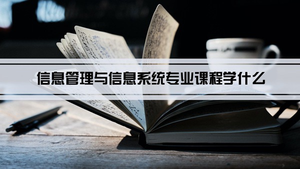 信息管理与信息系统专业课程学什么(毕业后做什么工作)