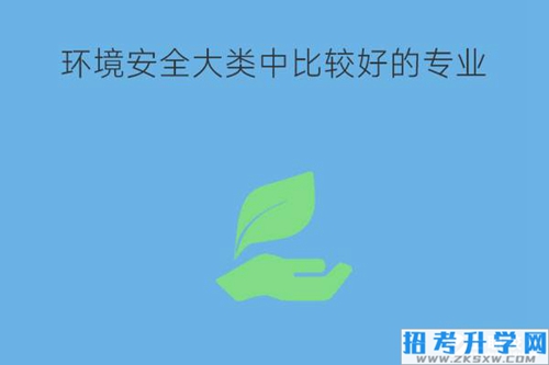 环境安全大类中哪些专业比较好？