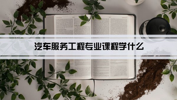 汽车服务工程专业课程学什么(毕业后做什么工作)