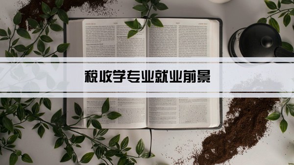 税收学专业就业前景和就业方向怎么样(分析)