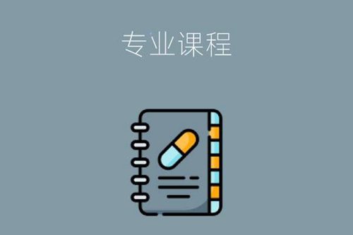 网络安防系统安装与维护专业学些什么内容？