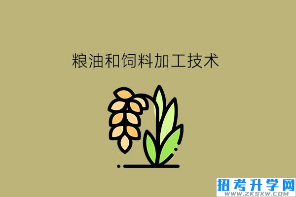 粮油和饲料加工技术是什么专业?有食品专业推荐吗?