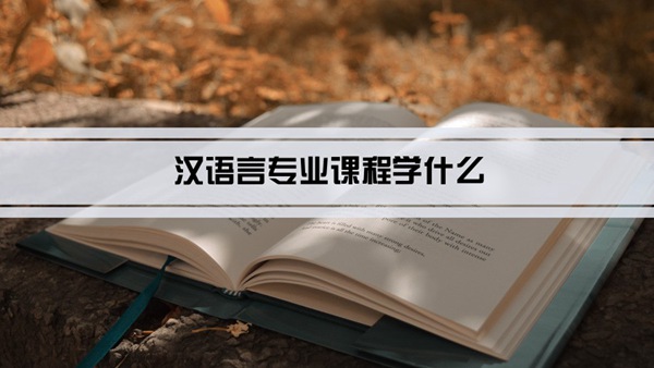 汉语言专业课程学什么(毕业后做什么工作)