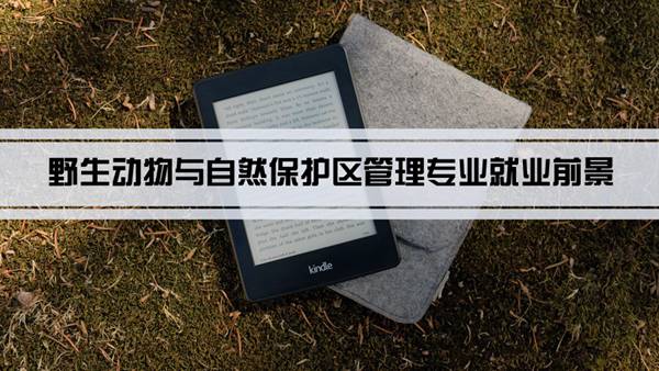 野生动物与自然保护区管理专业就业前景和就业方向怎么样(分析)