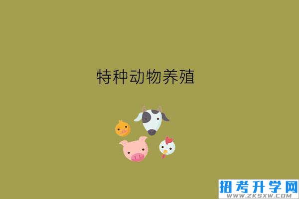 不喜欢动物可以学特种动物养殖吗?就业情况怎么样?