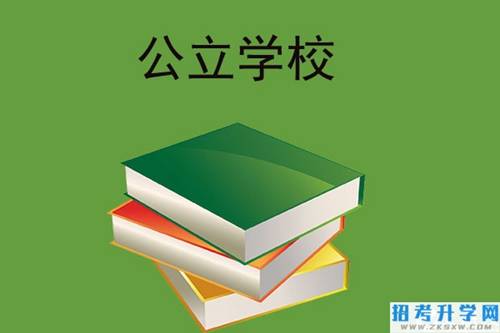 公立学校,学校情况