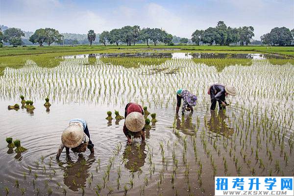 中职学农是当农民吗?作物生产技术有什么对口岗位?