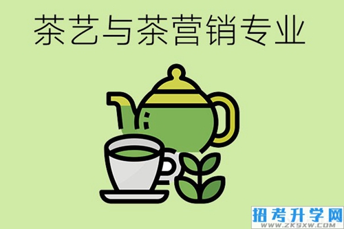 茶艺与茶营销专业怎么样？应具备哪些专业能力？