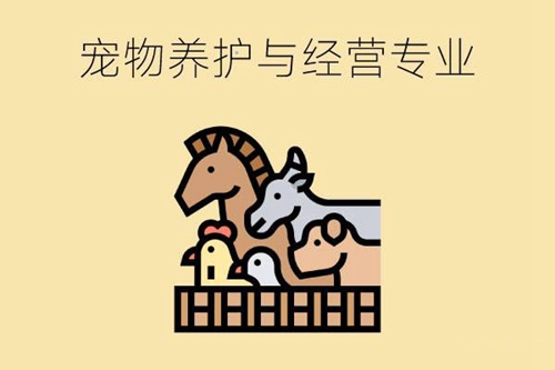 初中生毕业学宠物养护与经营专业能干什么？