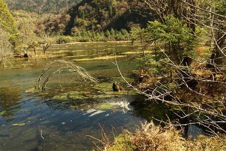 海水生态养殖专业详解及就业方向